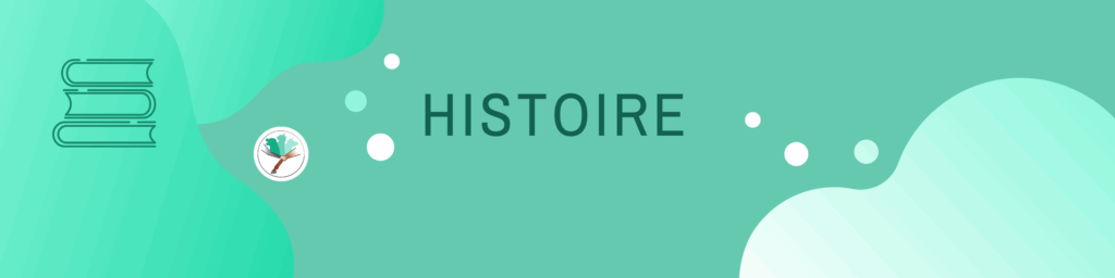 Histoire de l’ostéopathie animale : évolution et pratiques