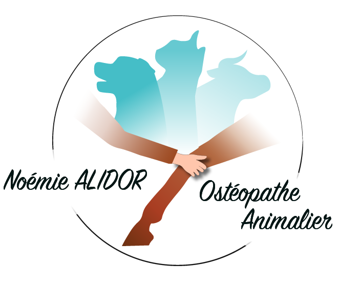 Noémie ALIDOR Ostéopathe animalier