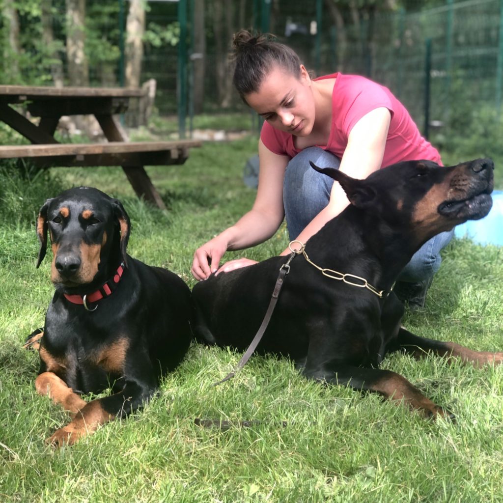 consultation ostéopathe animalier Lyon bien-être animal