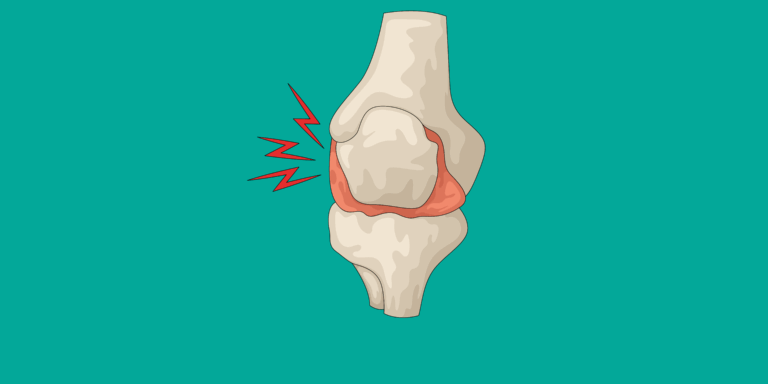 osteopathe-chien-luxation-lyon