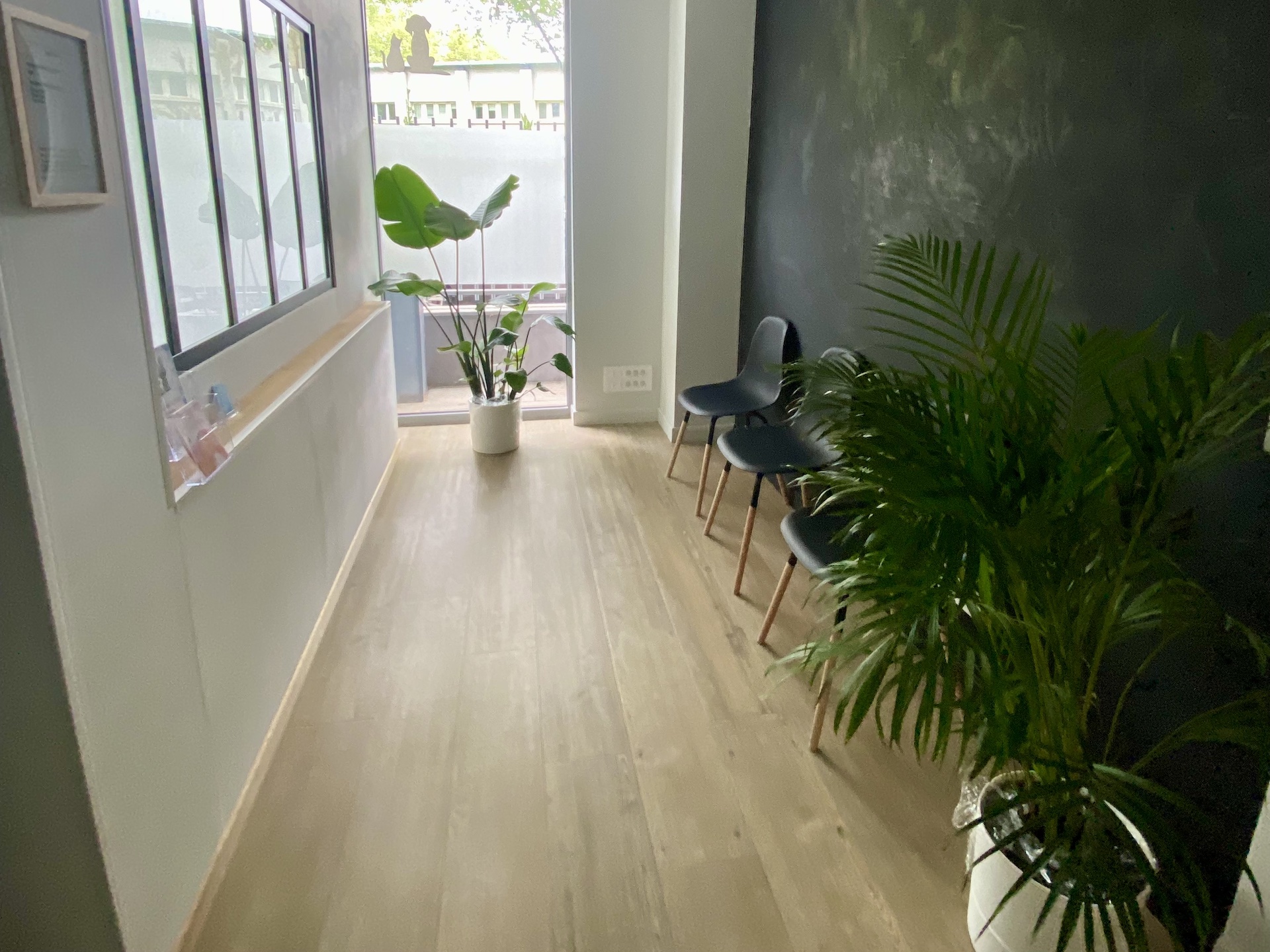 salle attente osteopathe animalier lyon